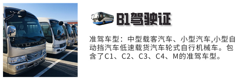 阜阳市A2驾驶证在哪里考