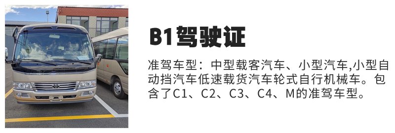 亳州A2驾照在哪里考
