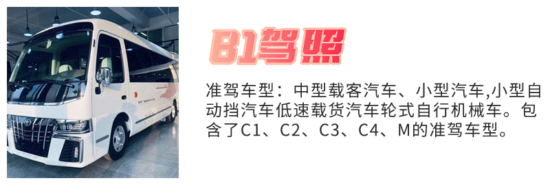 蚌埠B2驾照学费多少钱