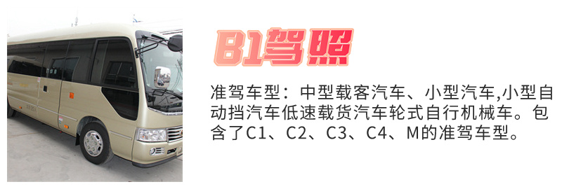 六安市哪个驾校可以学大货车